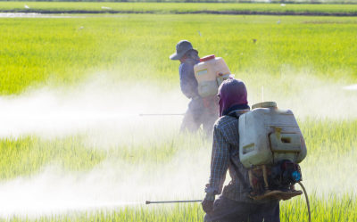 Can Exposure to Pesticides Cause Traumatic Brain Injury?