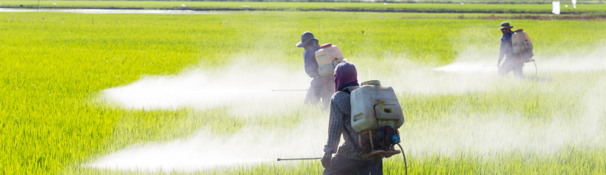 farm workers spraying pesticides