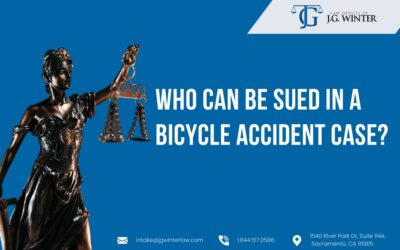 Who can be sued in a bicycle accident case?