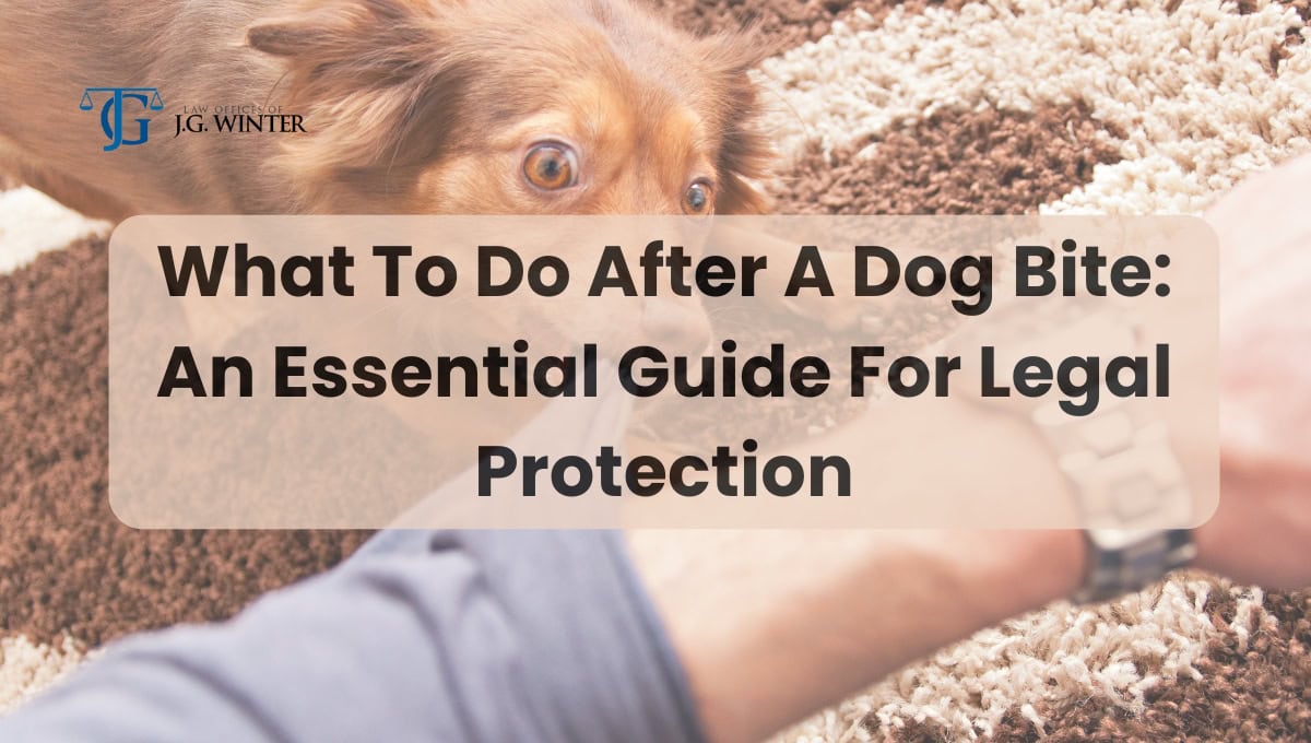 what to do if a dog bites you