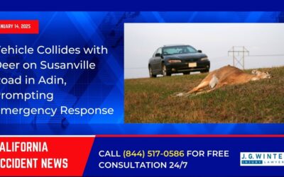 [01-14-2025] – Vehicle Collides with Deer on Susanville Road in Adin, Prompting Emergency Response