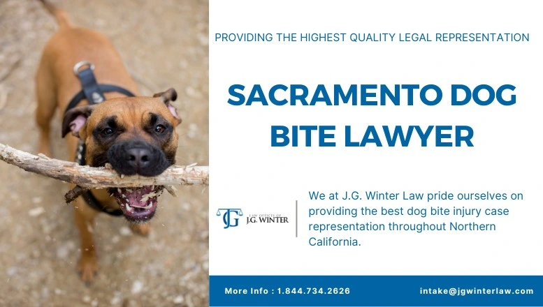 Sacramento dog bite lawyer