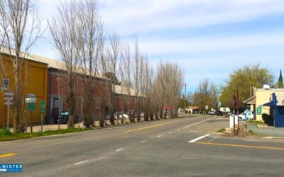 Franklin, CA – One Injured in Crash at Hood Franklin Road On-Ramp