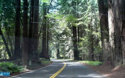 Napa, CA – Vehicle Crash Reported on SR-128 at Steele Canyon Road