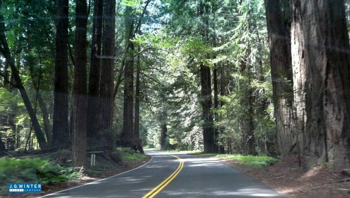 Napa, CA – Vehicle Crash Reported on SR-128 at Steele Canyon Road