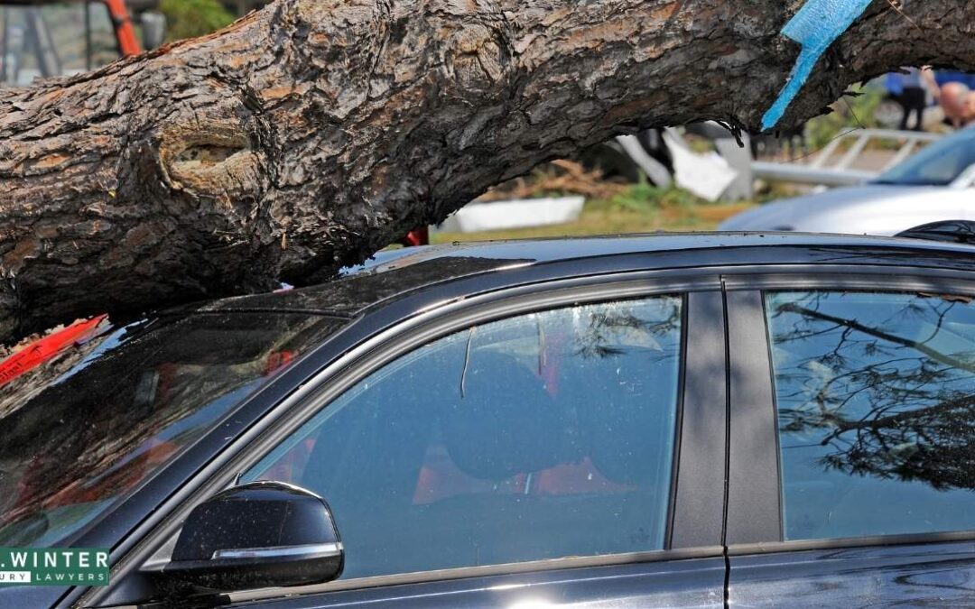 Modesto, CA – Four Hospitalized After Hitting a Tree at College Ave