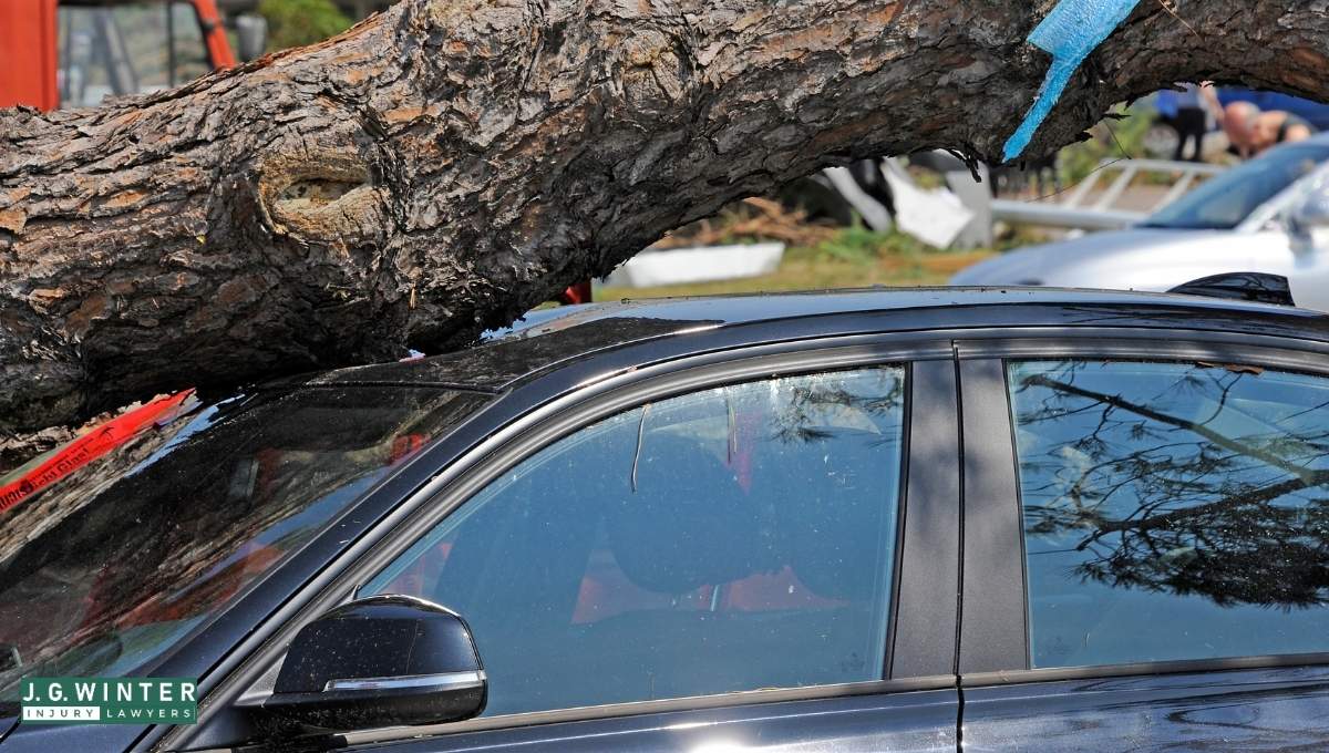 Modesto, CA - Four Hospitalized After Hitting a Tree at College Ave