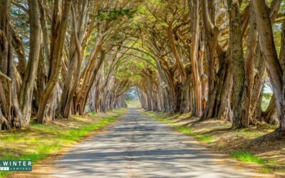 Point Reyes Station, CA – One Injured in Crash on CA-1