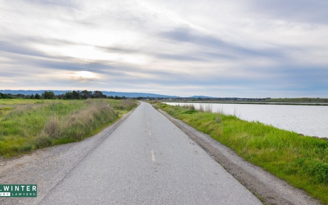 Santa Clara County, CA – Two Injured in Hit-And-Run on Hwy 85