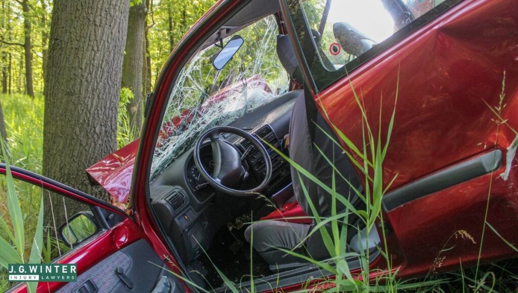 Sonoma County, CA - Driver Killed in Single-Car Crash on River Road