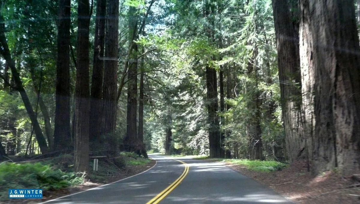 Napa, CA - Vehicle Crash Reported on SR-128 at Steele Canyon Road