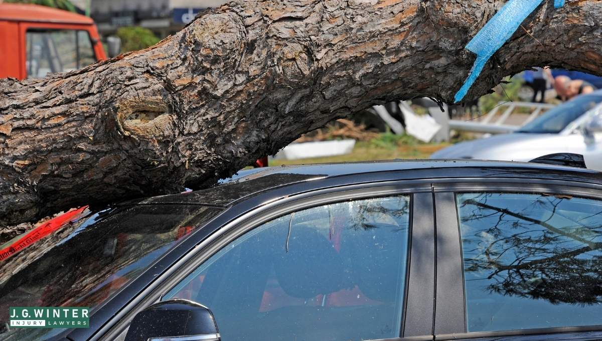 El Dorado County, CA - One Injured After Vehicle Strikes Tree on Grizzly Flat Road